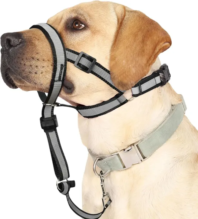 BARKLESS Reflective Head Halter — No-Pull Collar for Large Dogs