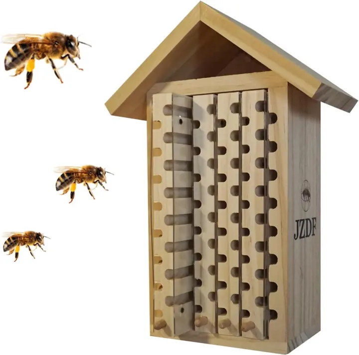 Mason & Leafcutter Bee House with Viewing Window and Mount