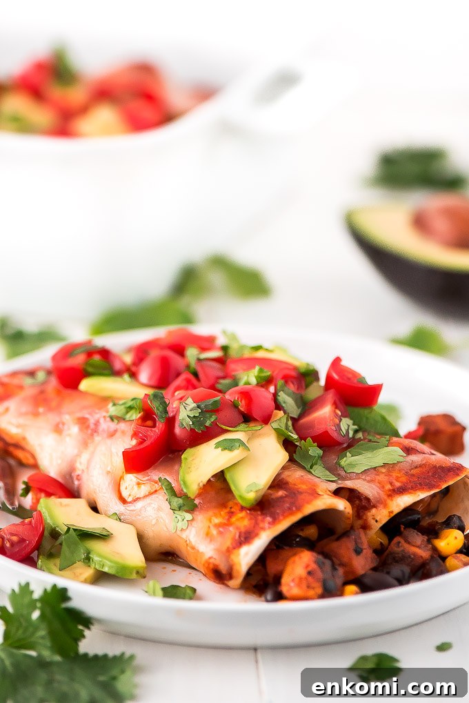 Plated enchiladas Plated serving of two Black Bean and Sweet Potato enchiladas.