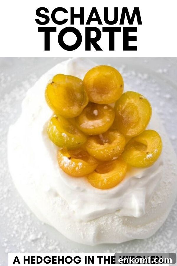 Schaum Torte PIN