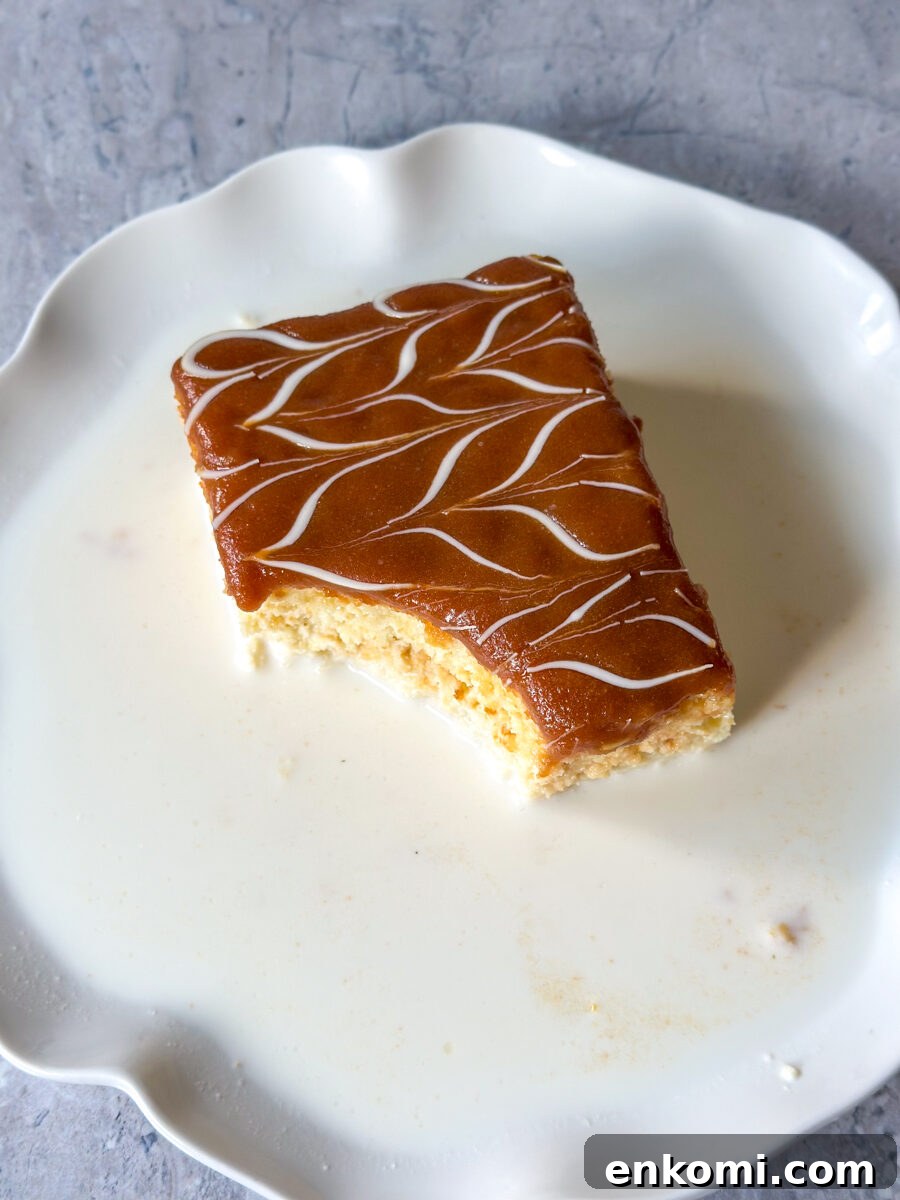 Authentic Tres Leches Vanilla Milk Cake Recipe 11 milk cake