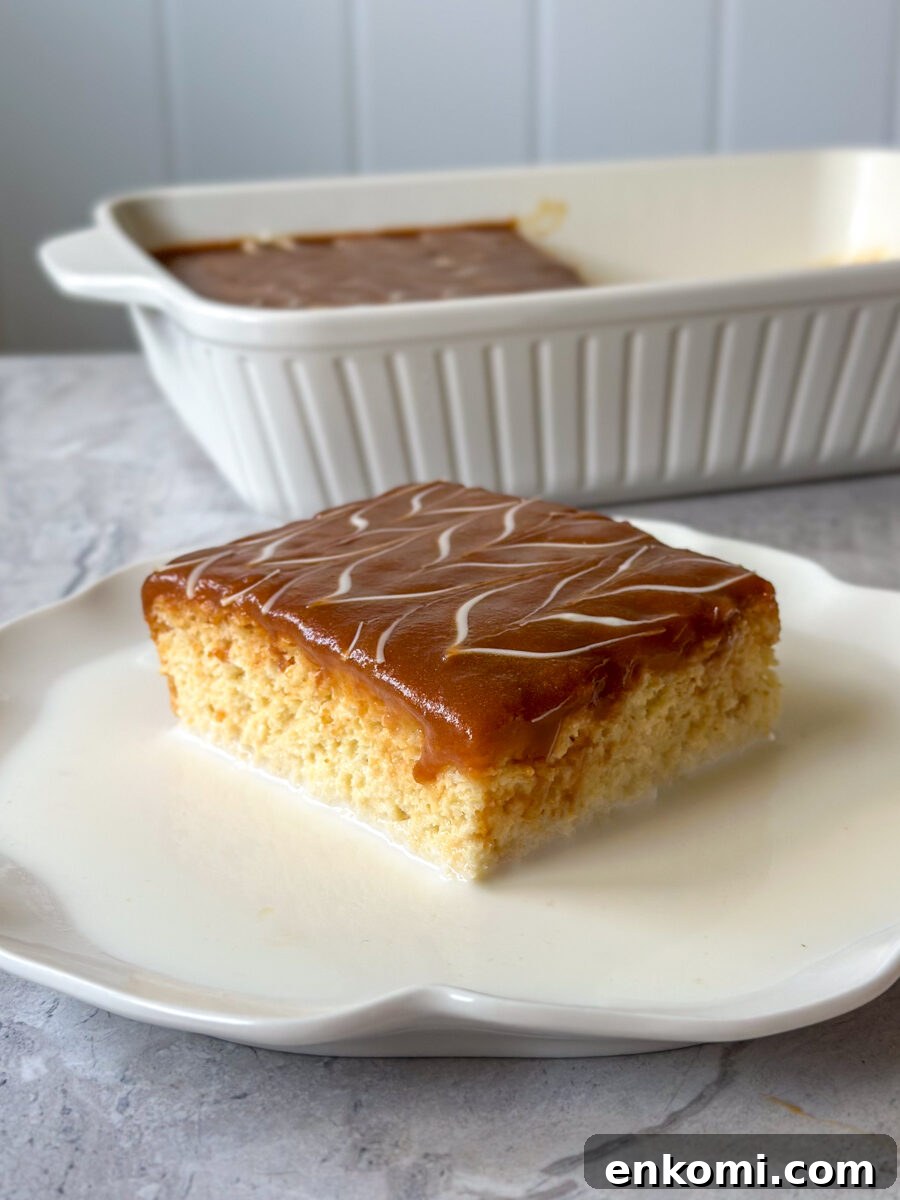 Authentic Tres Leches Vanilla Milk Cake Recipe 17 milk cake