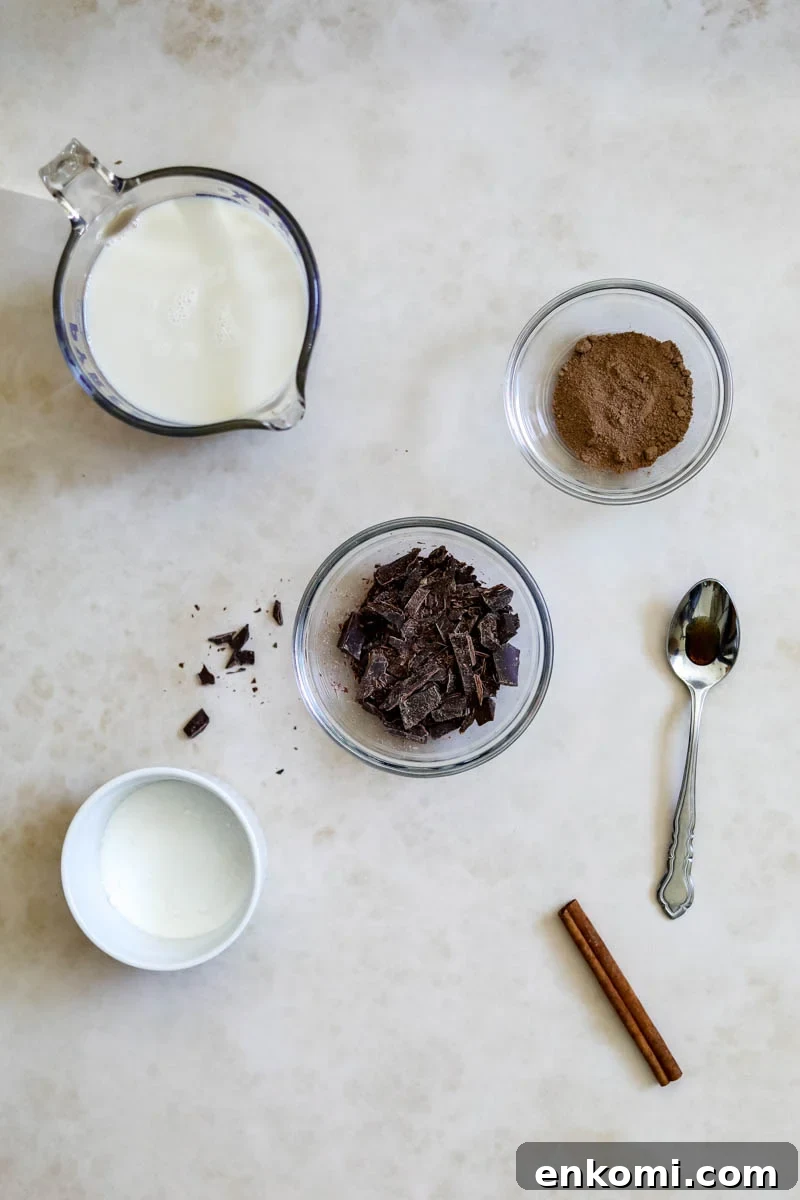 Creamy Oat Milk Hot Chocolate Recipe for Cozy Winter Nights 3 Ingredients to make oat milk hot cocoa, including oat milk, sugar, unsweetened cocoa, chocolate, cinnamon stick, and vanilla bean paste or extract.