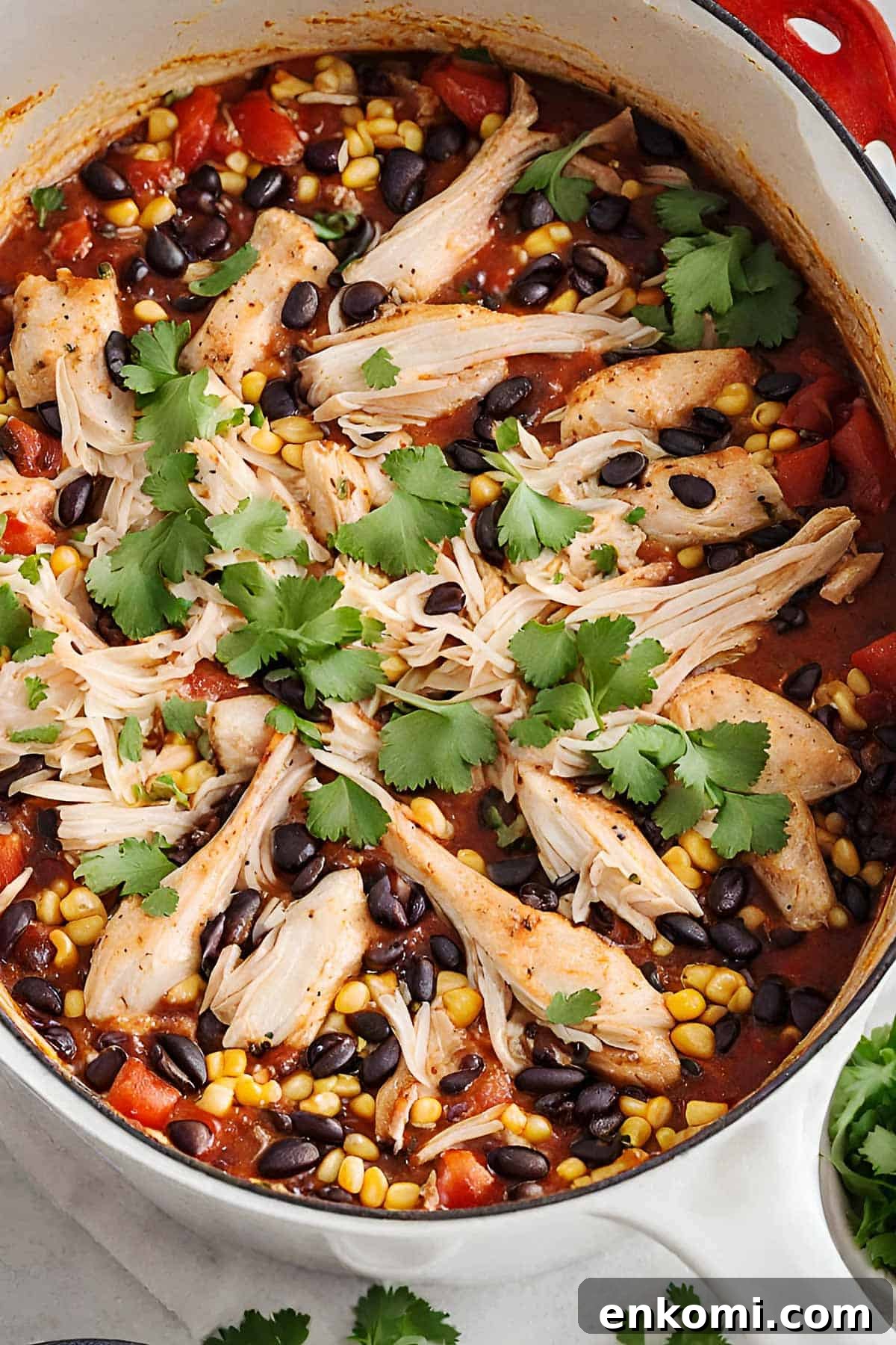 All ingredients for the Mexican chicken tortilla soup in a Dutch oven.