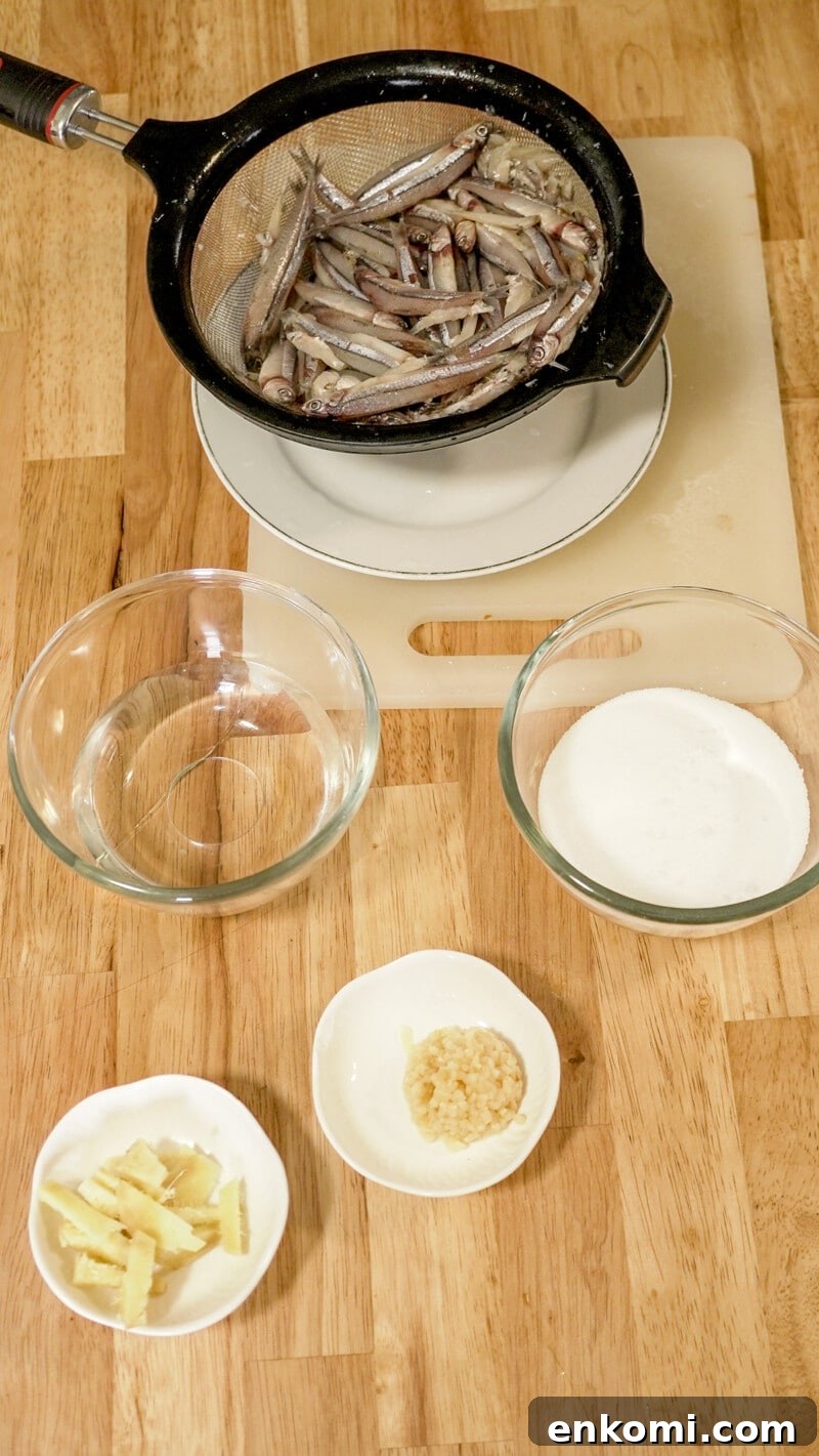 How to Make Bagoong (Ginamos): Traditional Filipino Fermented Shrimp Paste 4 ginamos ingredients