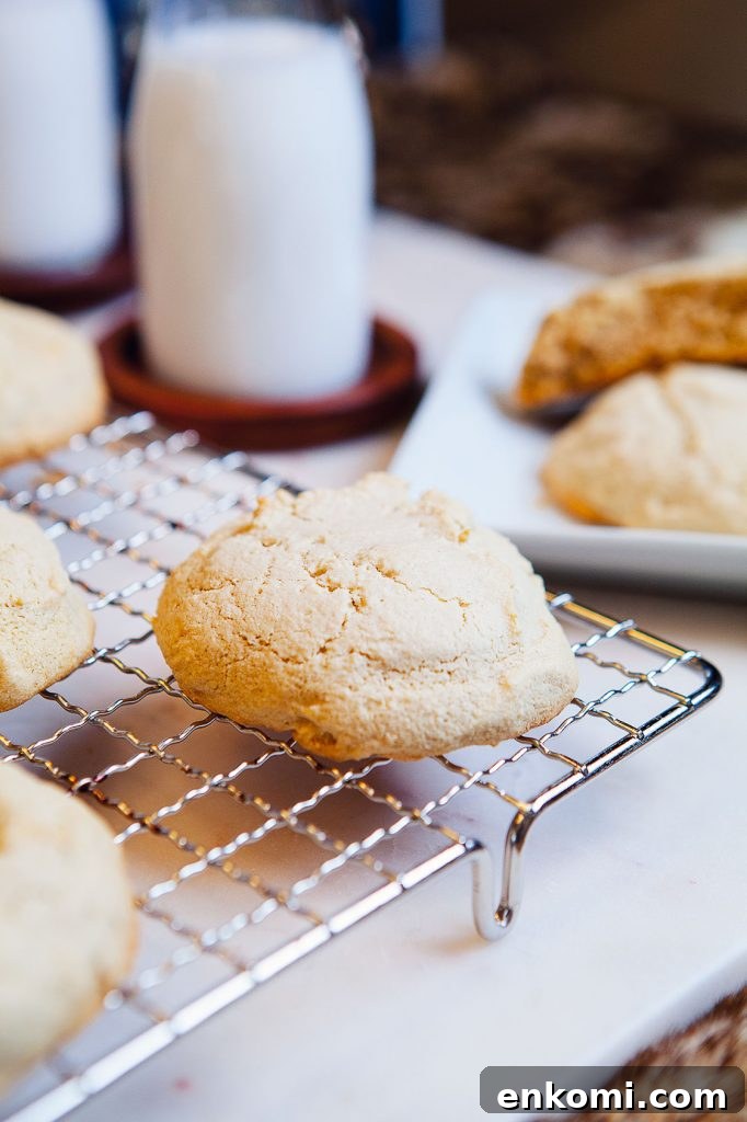 Cassava Flour Sugar Cookies