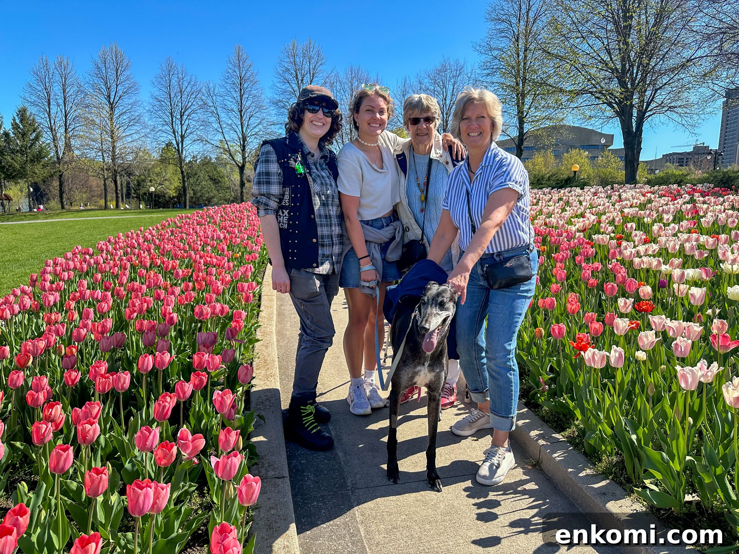 Discover Ottawa's Canadian Tulip Festival: Dates, Events & Tips 11 Mother's Day tulips