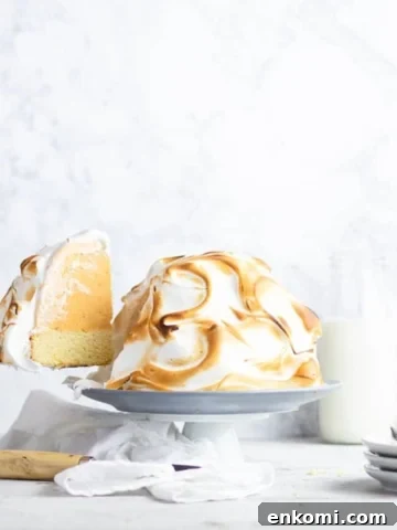 pumpkin baked alaska cake being sliced