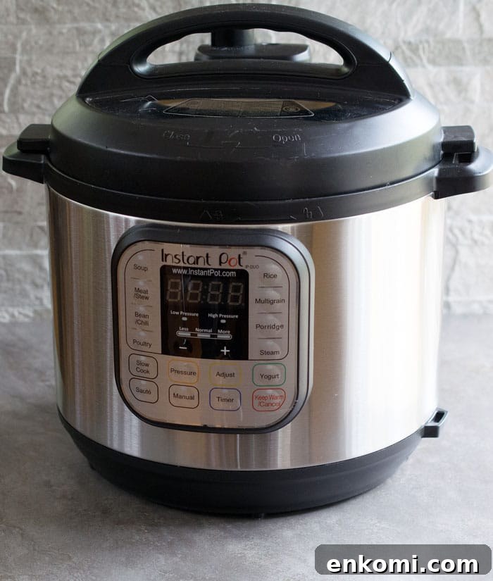 Instant Pot IP-DUO60 7-in-1 Multi-Functional Pressure Cooker
