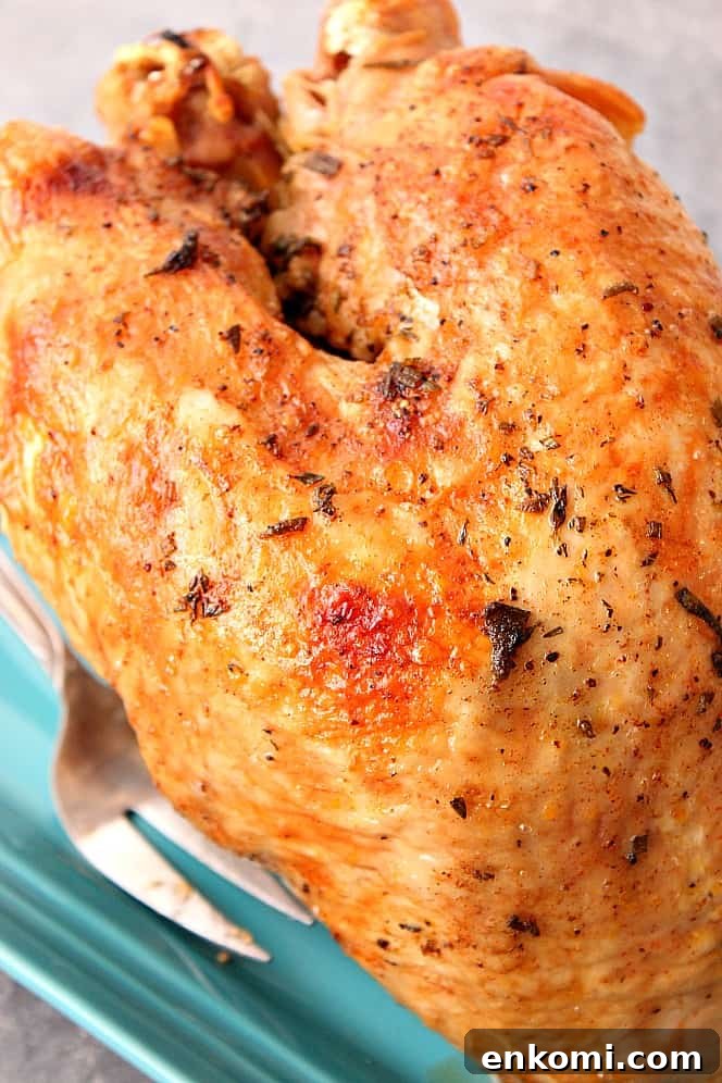 Close up shot of cooked turkey breast on blue serving platter.