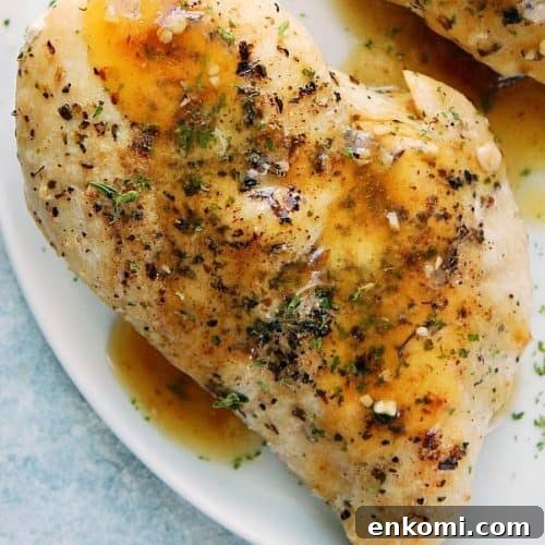Seasoned chicken breast on a plate with gravy.