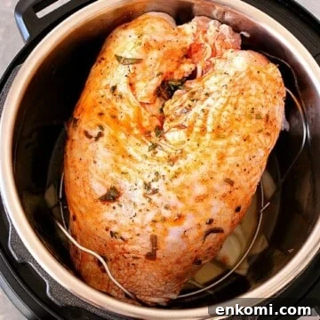 Turkey Breast in an Instant Pot.