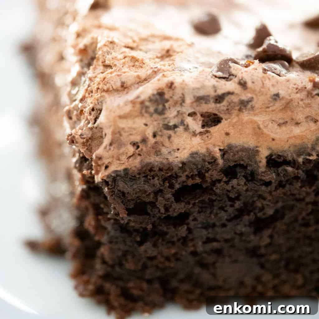 15 Irresistible Poke Cake Recipes to Try Tonight 12 close up of slice of triple chocolate poke cake