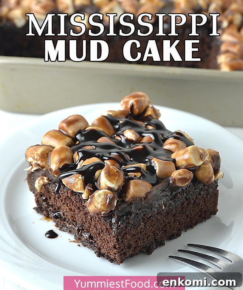 Ultimate Mississippi Mud Cake Recipe for Rich Chocolate Lovers 2 Mississippi Mud Cake Recipe