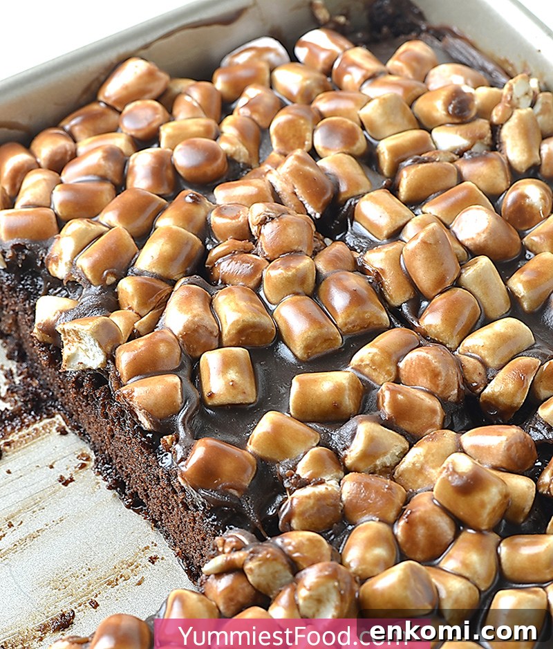 Ultimate Mississippi Mud Cake Recipe for Rich Chocolate Lovers 3 Mississippi Mud Cake