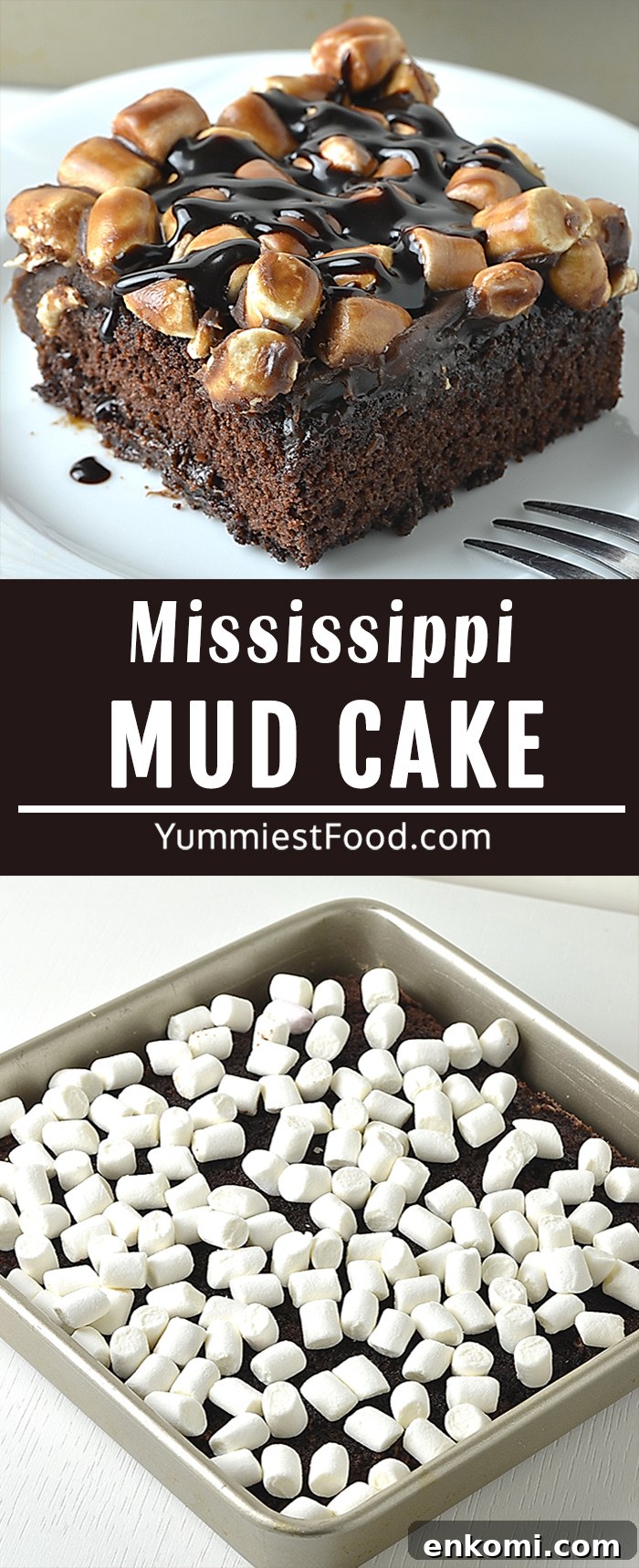Ultimate Mississippi Mud Cake Recipe for Rich Chocolate Lovers 5 This Mississippi Mud Cake is a delicious homemade chocolate cake, topped with melted marshmallows and warm chocolate frosting.