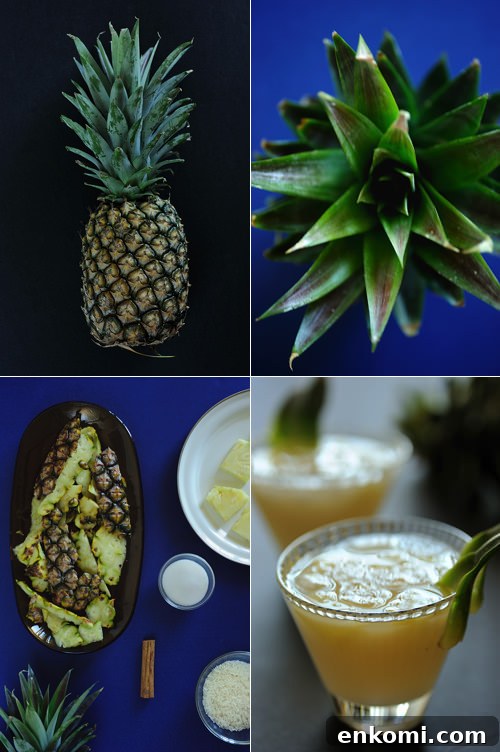 Chilled Pineapple and Rice Drink (Horchata de Piña) 3 chilled pineapple and rice drink ingredients