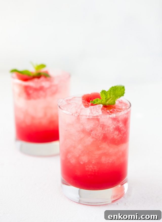 Watermelon Mint Spritzer