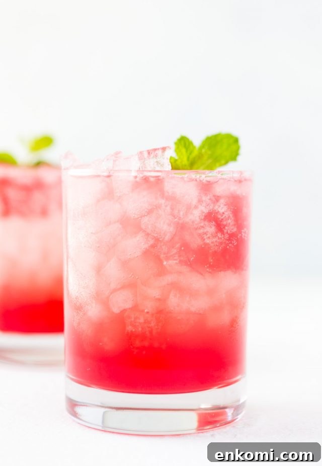 Watermelon Mint Spritzer