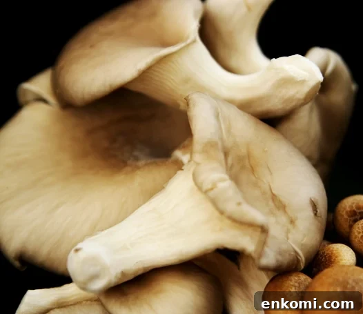 mushrooms2 mushrooms2
