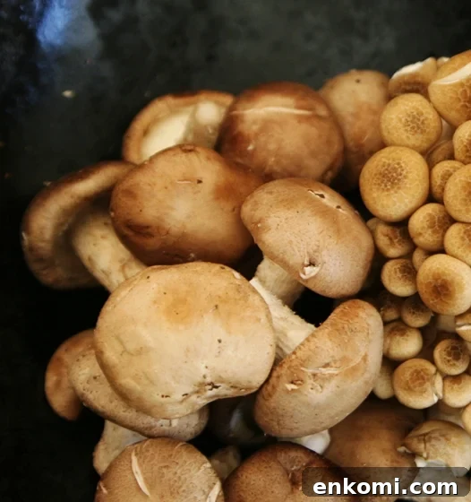 mushrooms3 mushrooms3