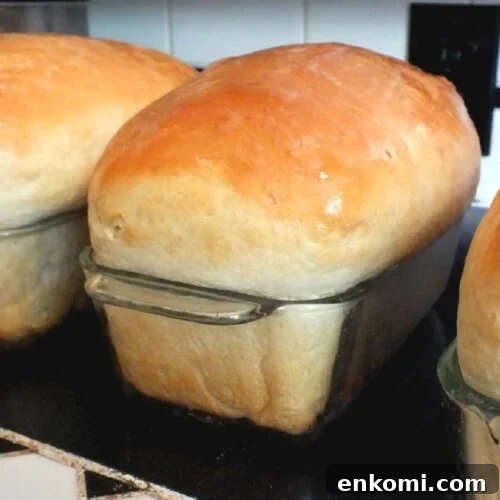 Loaves of baked bread.