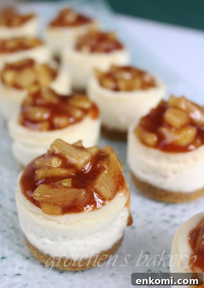 Vegan Apple Crumble Cheesecake Recipe for Fall Desserts 4 Vegan Apple Cheesecake