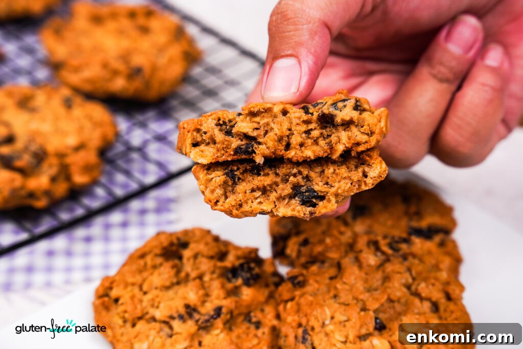 A hand holds a gluten-free oatmeal raisin cookie broken in half.