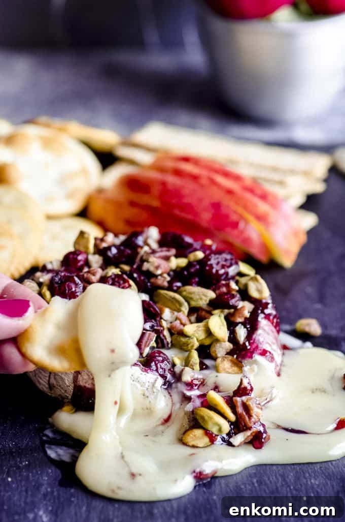 Cranberry Pecan Baked Brie: Warm Appetizer for Holiday Entertaining 4 An apple slice with with melted baked brie on top