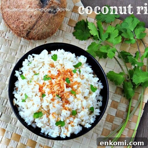 Creamy Coconut Rice Recipe for Perfectly Flavored Rice 3 Coconut Rice serving