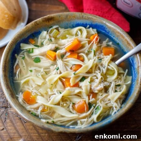crock pot chicken noodle soup recipe