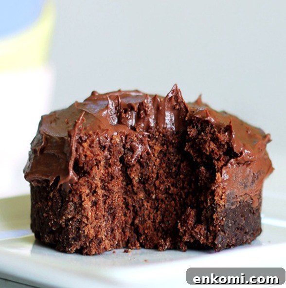 mug cake mug cake