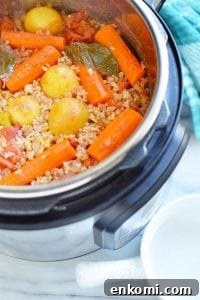 IP hamburger soup