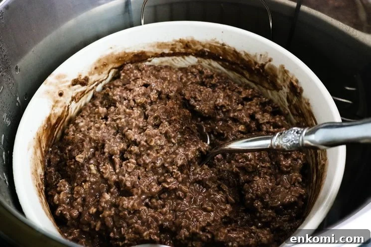 Chocolate peanut butter oatmeal for WW in serving bowl