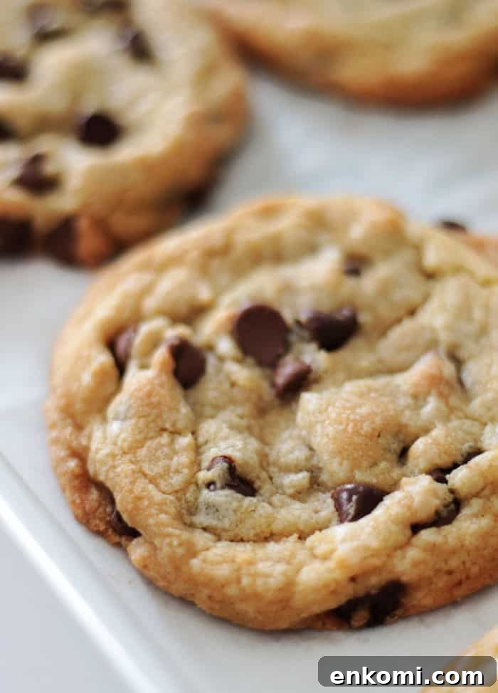 baked cookies on baking sheet