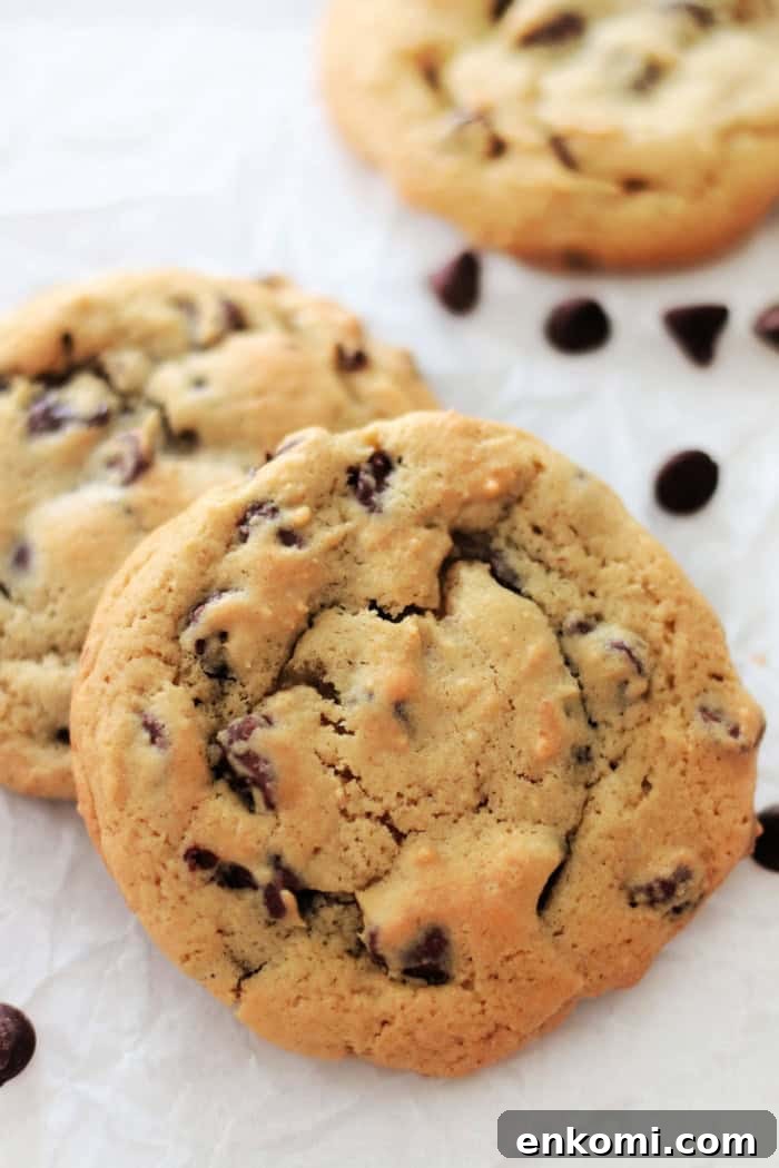 two jumbo chocolate chip cookies