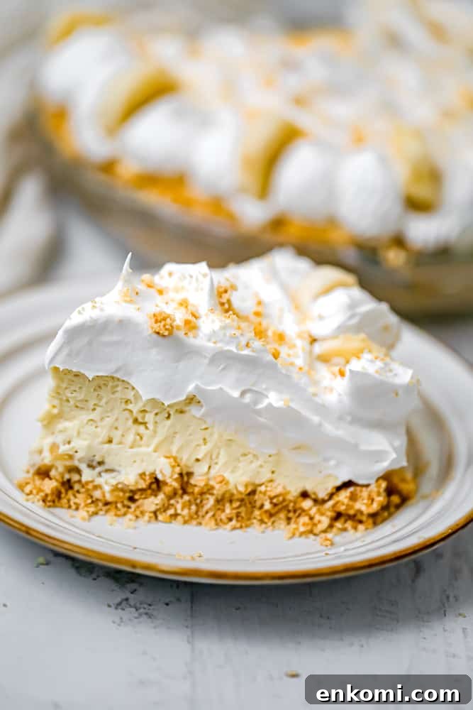 dessert summer slice