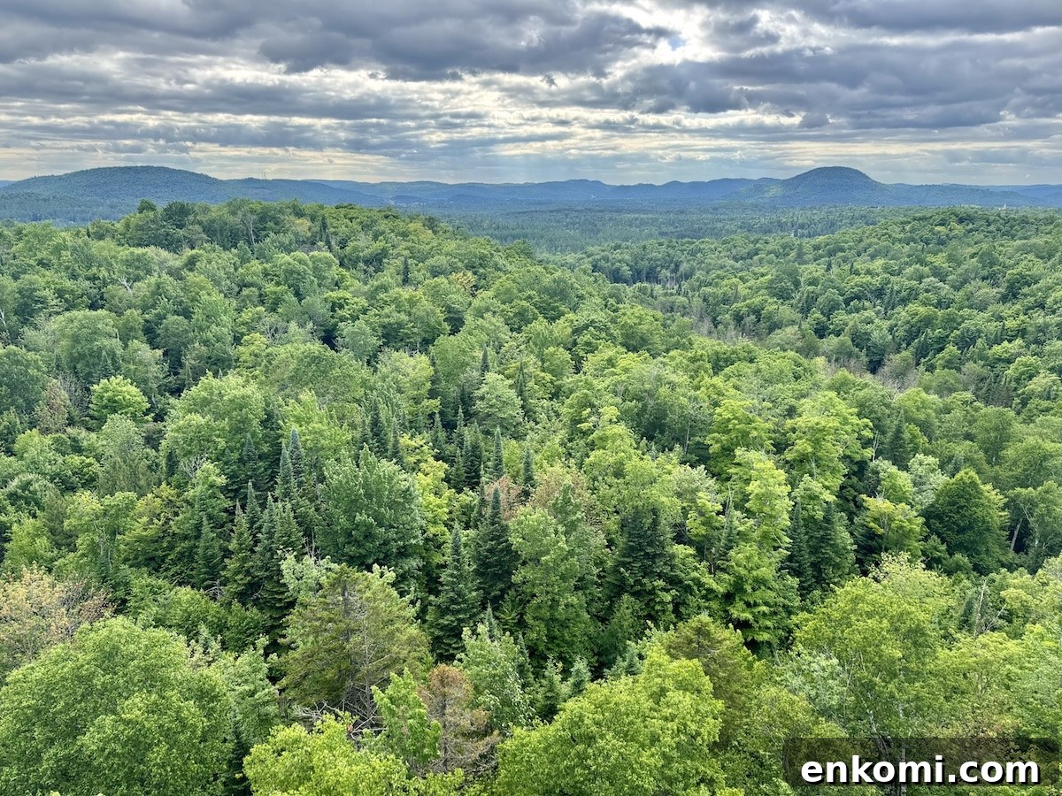 Dense green forest with rolling hills and cloudy sky in the background.