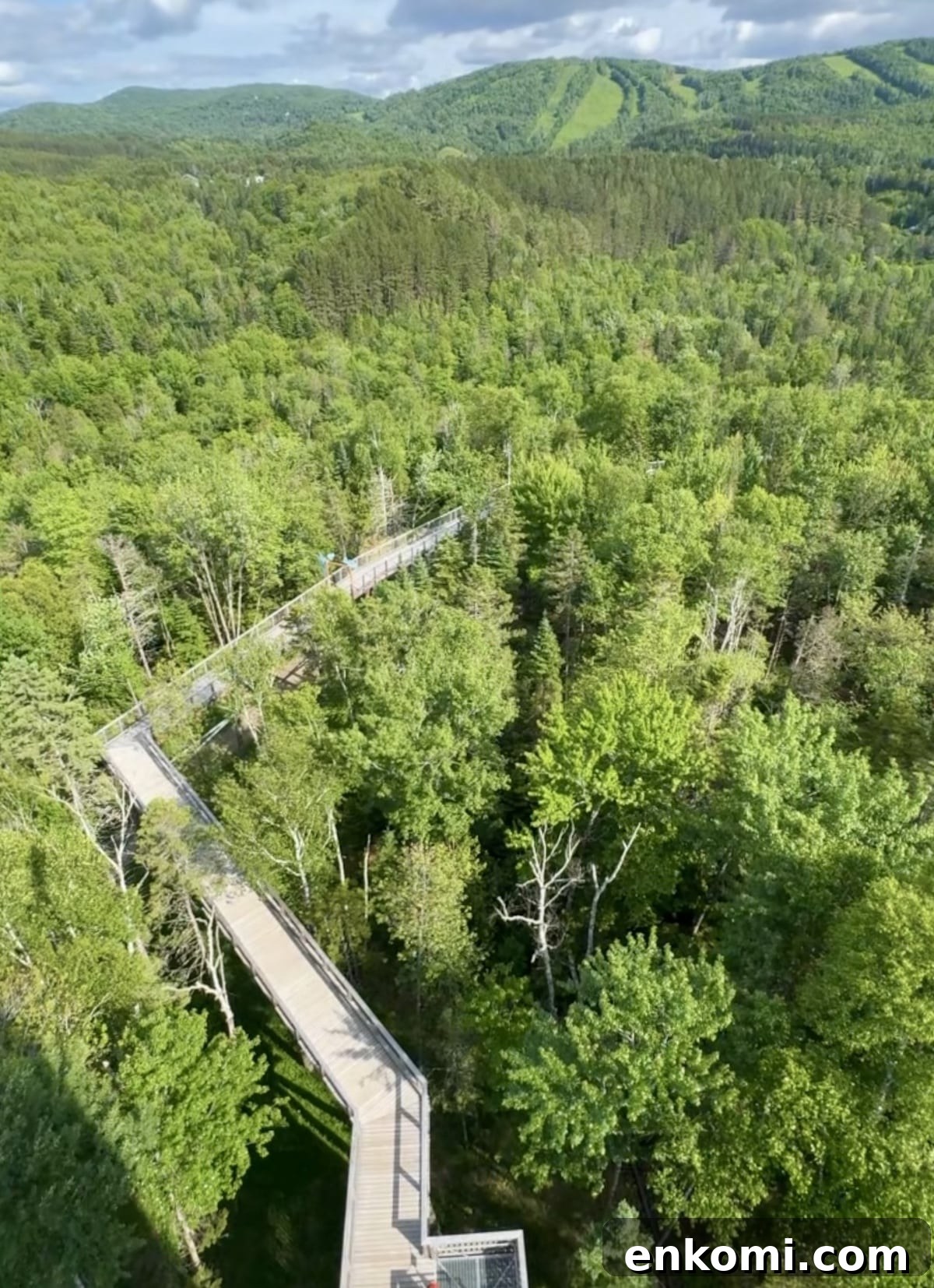 Elevated wooden walkway winds through dense green forest with rolling hills and cloudy sky in the background.