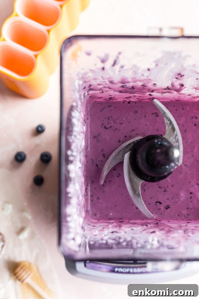Overhead view of blueberry goat cheese ice cream bars being pureed in a blender.