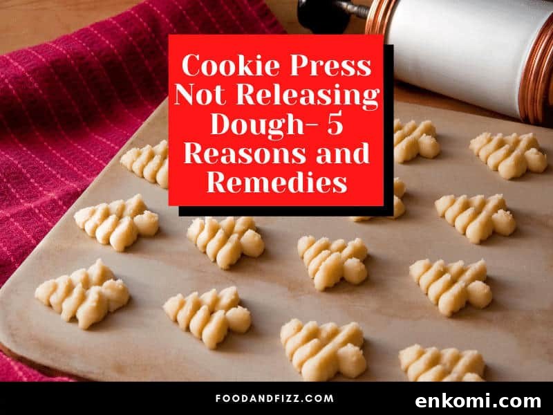 Cookie Press Not Releasing Dough- 5 Reasons and Remedies