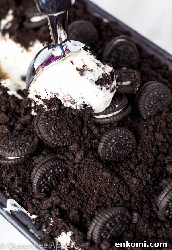 No-Churn Ferrero Rocher Nutella Ice Cream with Chocolate Hazelnut Cones 18 no-churn Oreo ice cream with crushed Oreos and mini Oreos on top