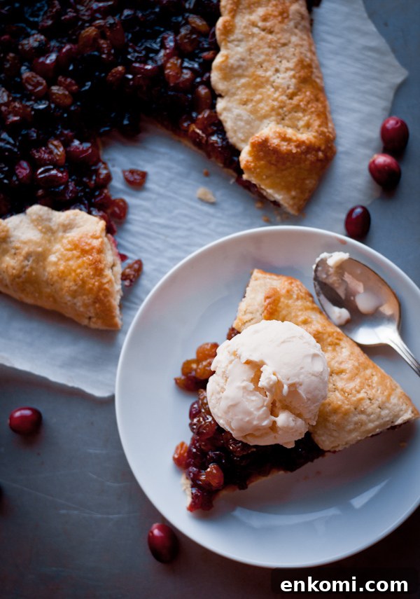 Tangy Cranberry and Raisin Tart Recipe for Holiday Baking 2 Cranberry Raisin Tart