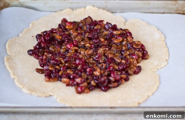 Tangy Cranberry and Raisin Tart Recipe for Holiday Baking 5 How to Make A Cranberry Raisin Tart