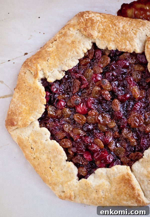Tangy Cranberry and Raisin Tart Recipe for Holiday Baking 6 Cranberry Raisin Tart