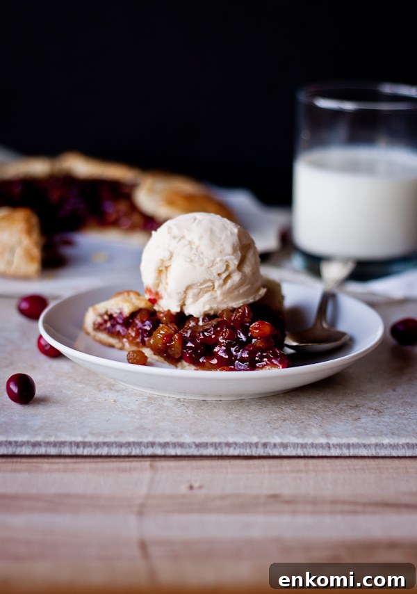 Tangy Cranberry and Raisin Tart Recipe for Holiday Baking 7 Cranberry Raisin Tart
