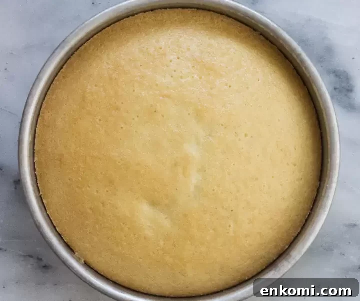 overhead photo of crazy cake after it comes out of the oven