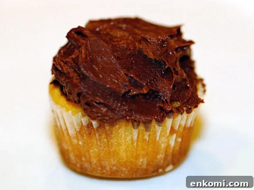 vegan chocolate cupcake