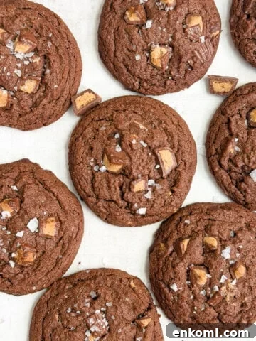 a few chocolate peanut butter cup cookies together.