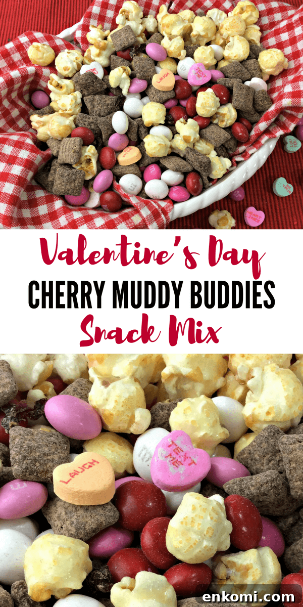 Valentine's Day Cherry Muddy Buddy Snack Mix.